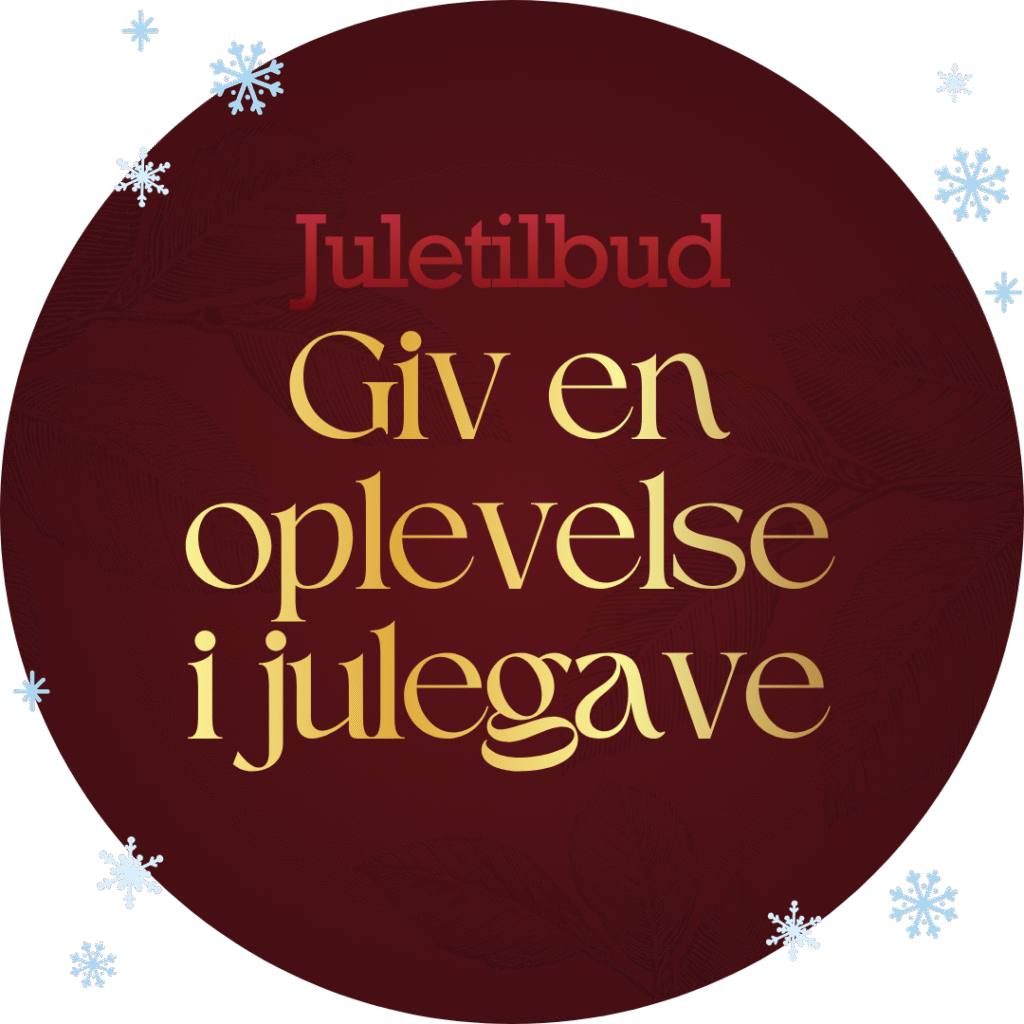 Julegave
